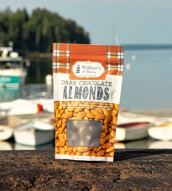 Chocolate Covered Almonds