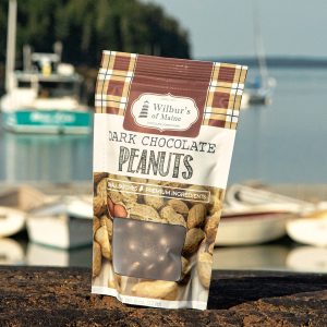 Chocolate Covered Peanuts