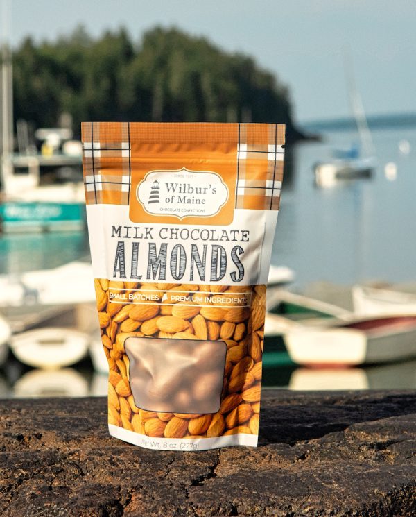 Chocolate Covered Almonds