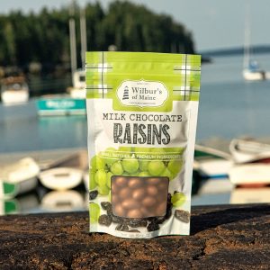 Chocolate Covered Raisins