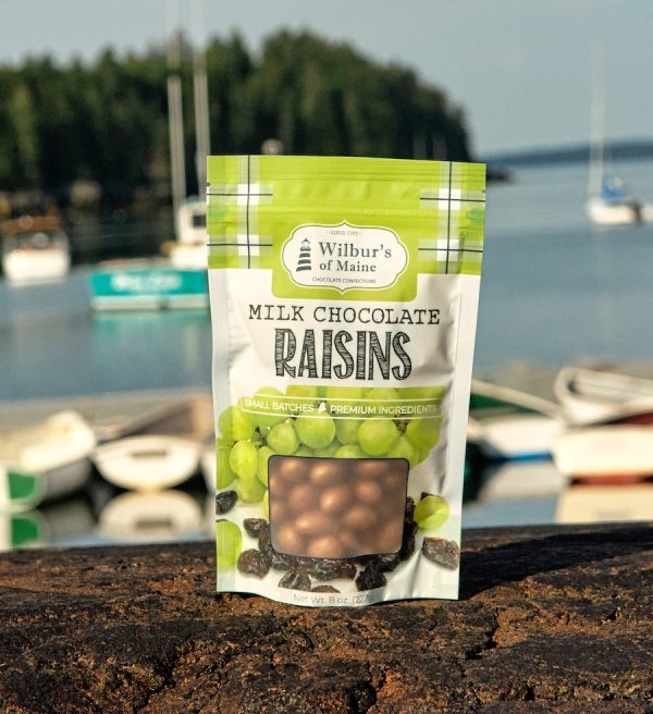 Chocolate Covered Raisins