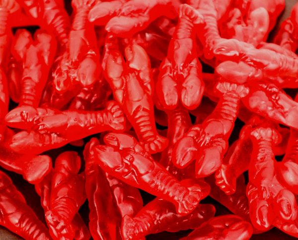Gummi Lobstahs