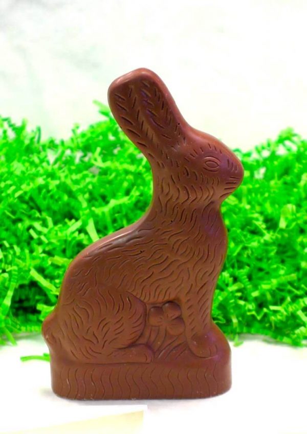 Big Sitting Bunny