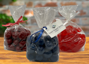 maine wedding favor bags (chocolate blueberries, cherries and gummi lobsters)